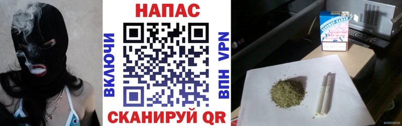 Канабис SATIVA & INDICA  Юрьевец 
